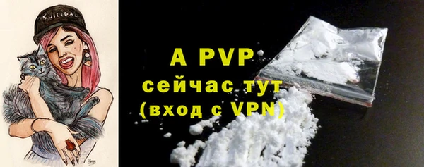 прущие грибы Нягань