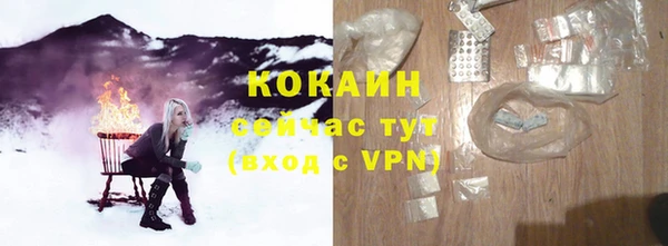 индика Нязепетровск