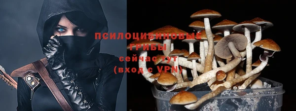 индика Нязепетровск