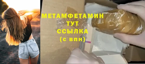индика Нязепетровск