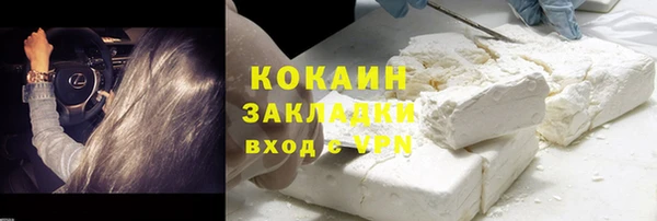 индика Нязепетровск