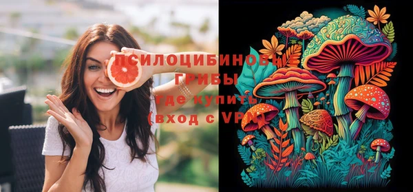индика Нязепетровск