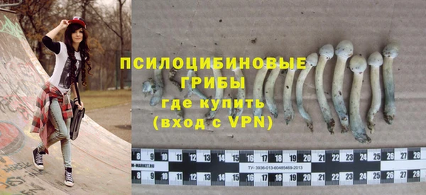 прущие грибы Нягань