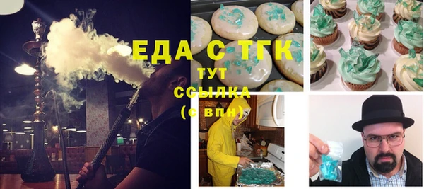 индика Нязепетровск