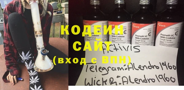 индика Нязепетровск