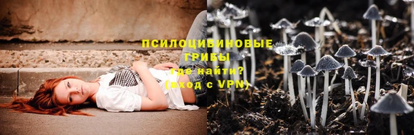 стафф Няндома